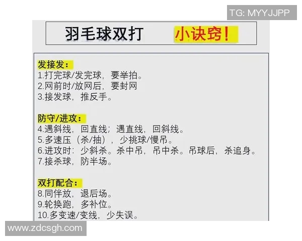 成都羽毛球队区域防守策略深度解析与实战应用探讨 成都羽毛球队区域防守策略深度解析与实战应用探讨