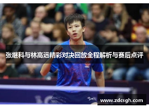 张继科与林高远精彩对决回放全程解析与赛后点评