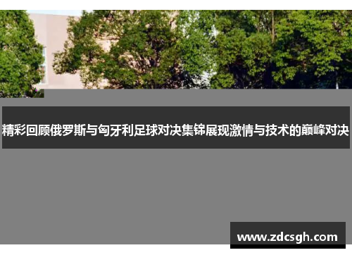 精彩回顾俄罗斯与匈牙利足球对决集锦展现激情与技术的巅峰对决