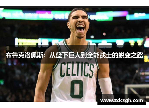 布鲁克洛佩斯：从篮下巨人到全能战士的蜕变之路